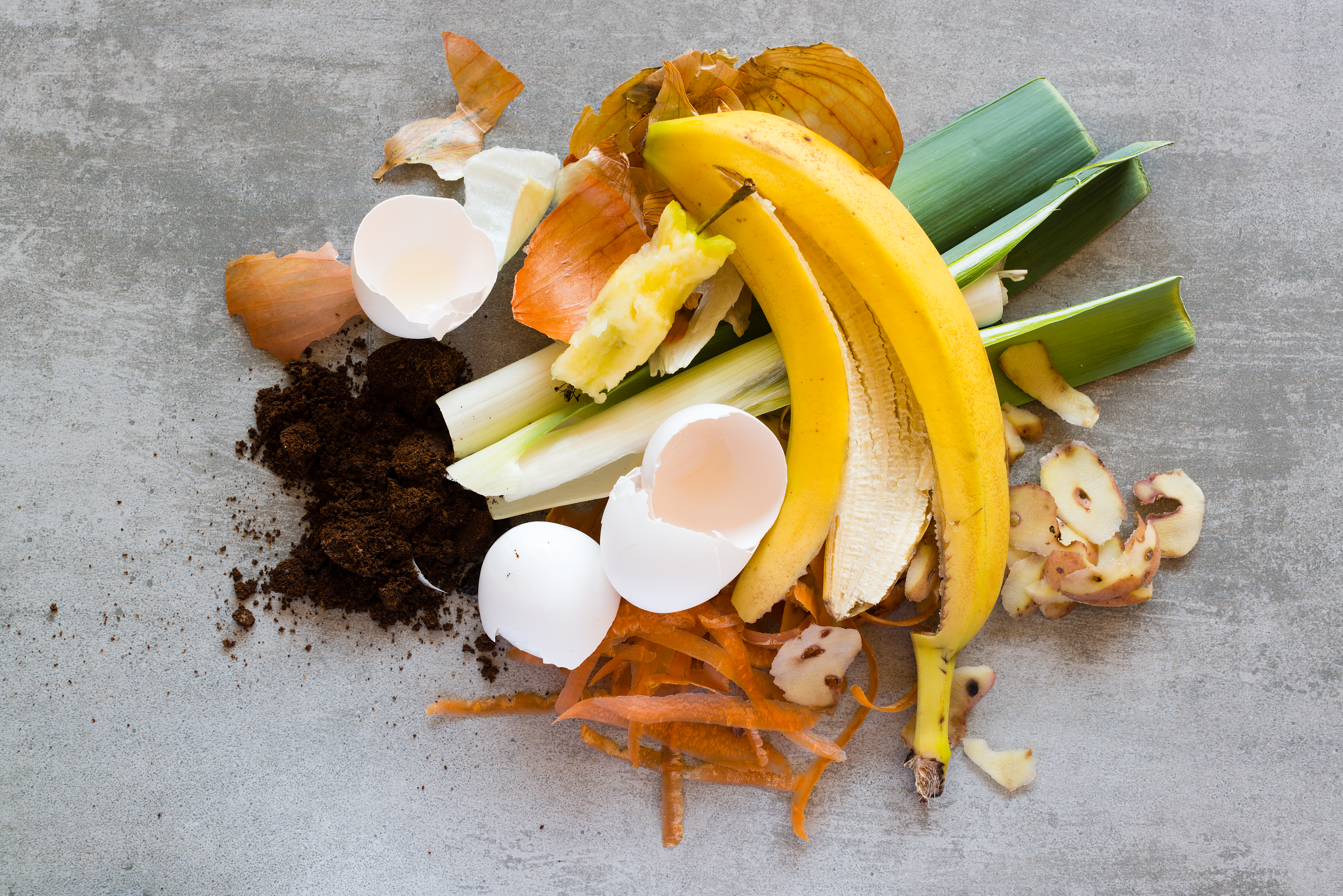 Plate of food scraps