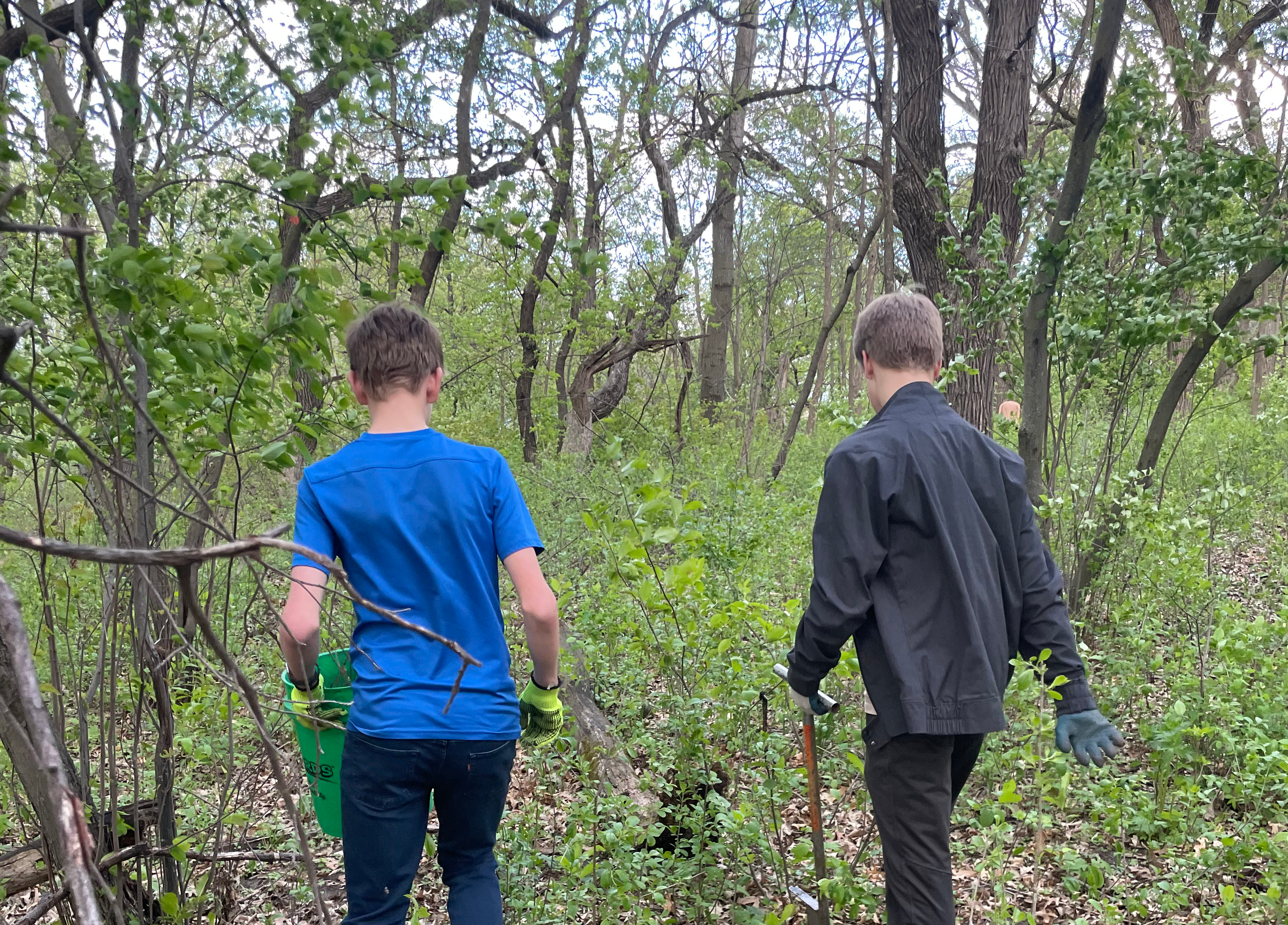 Two boys seen from behind walking in a wooded area with gloves on. One boy has a green bucket in hand and the other boy has a grey shovel.