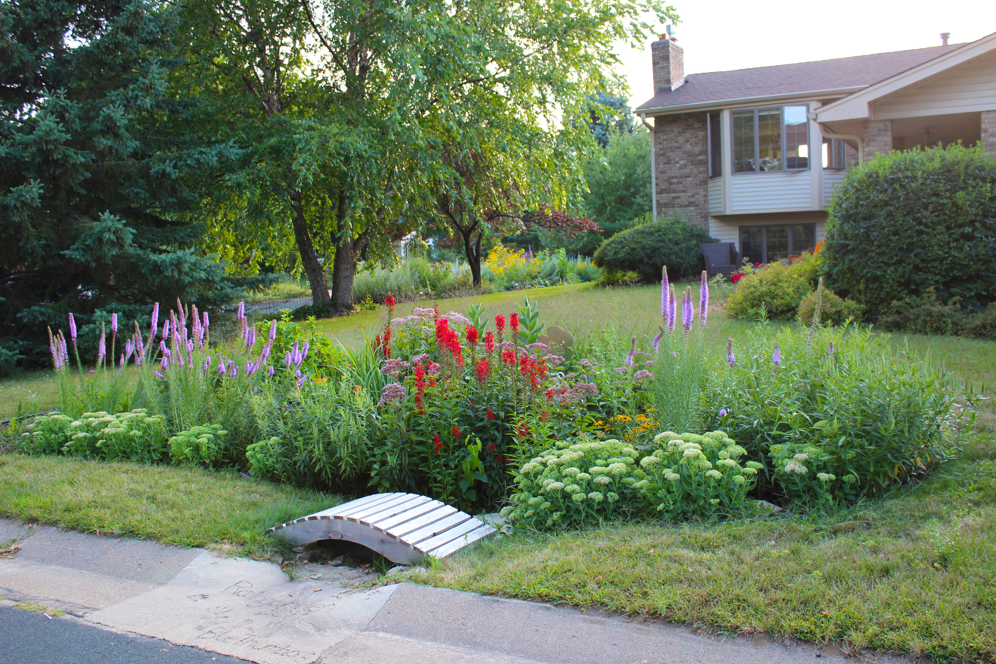 Grants available to help residents install raingardens